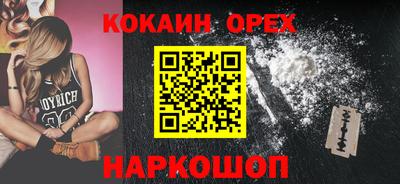 мдпв Кингисепп