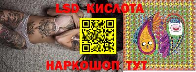 мдпв Кингисепп