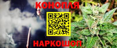 мдпв Кингисепп