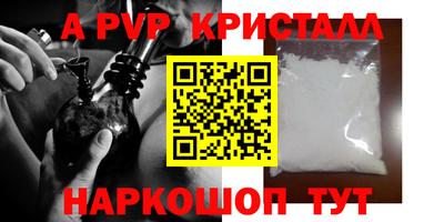 мдпв Кингисепп