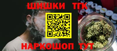 мдпв Кингисепп