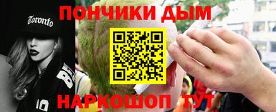 мдпв Кингисепп