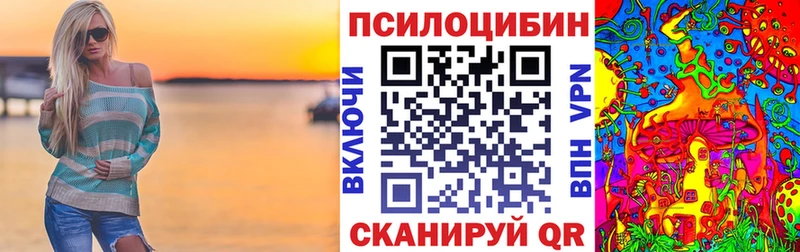 Псилоцибиновые грибы Cubensis  что такое   Рубцовск 