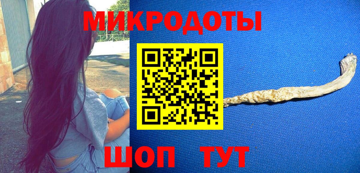 Псилоцибиновые грибы Cubensis Рубцовск